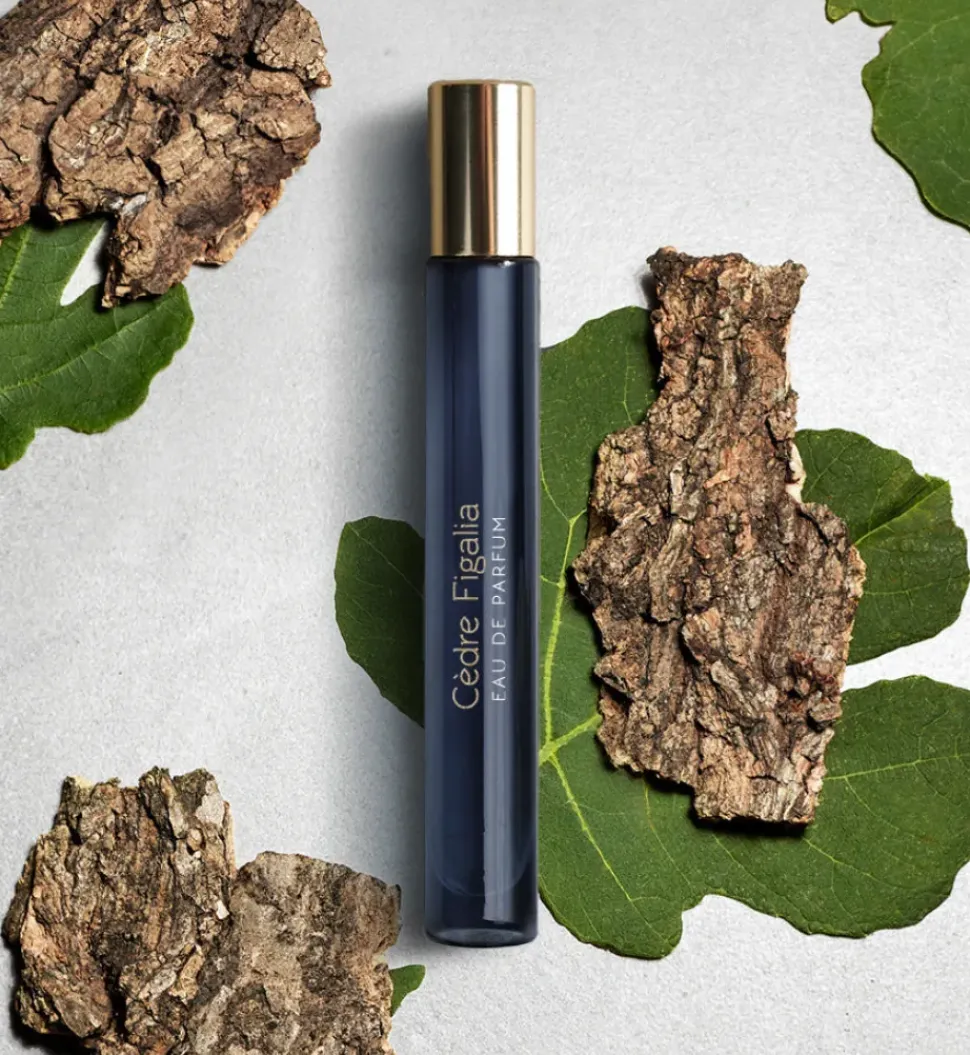 CÈDRE FIGALIA - Unisex Eau de Parfum | ATELIER MATERI