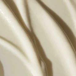 Edelweiß Extrême Peptides & Carnosine I ODACITÉ - Intensiv reparierende Augencreme