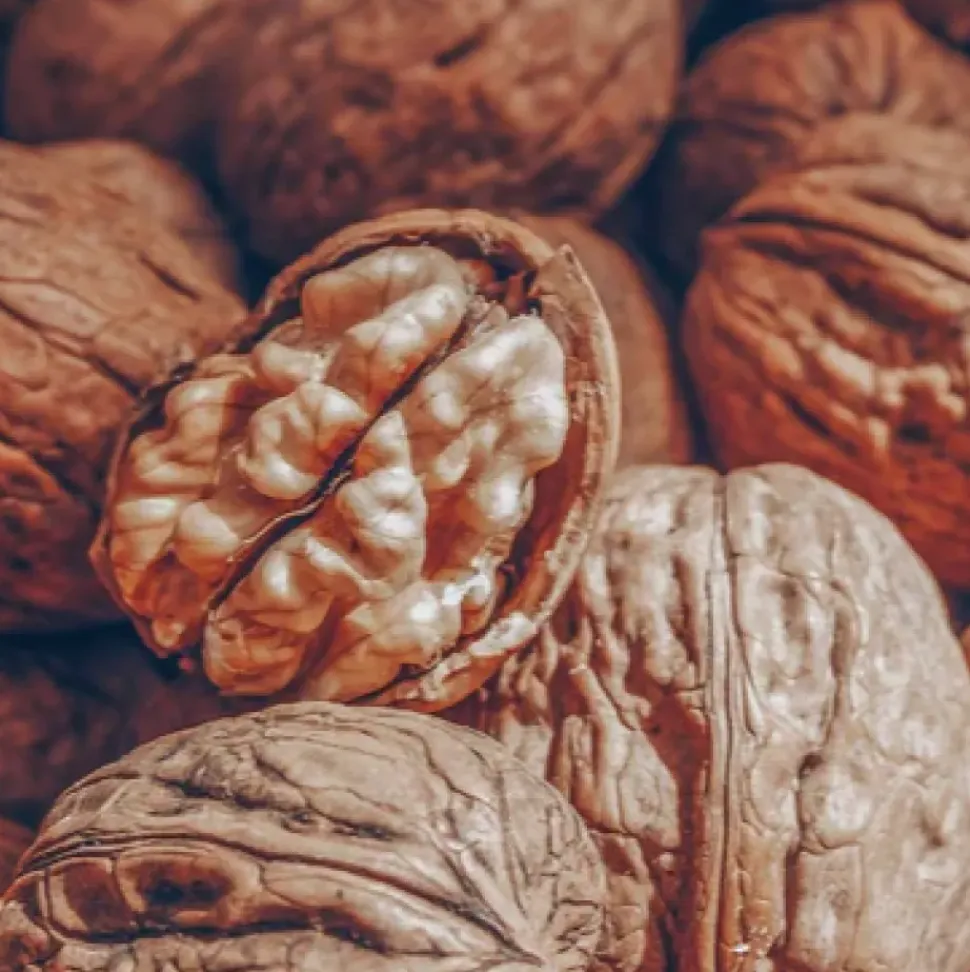 Golden Walnut Brown- natürliche Pflanzenhaarfarbe-Healing Herbs Hair Color