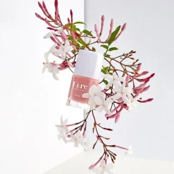 Kure Bazaar Nagellack - Dolce