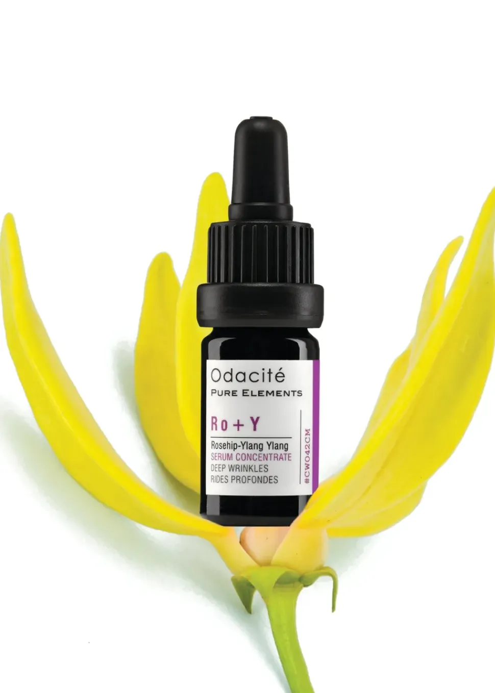 Ro+Y | Serum Konzentrat mit Hagebutte + Ylang-Ylang für die Behandlung intensiver Falten