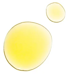 Santal Silk Body Oil - samtiges Körperöl